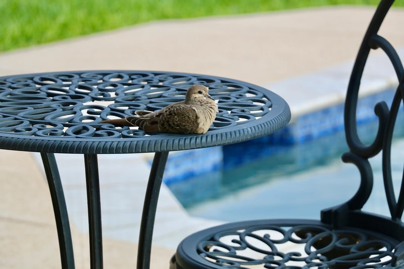 Repurposed Patio Furniture